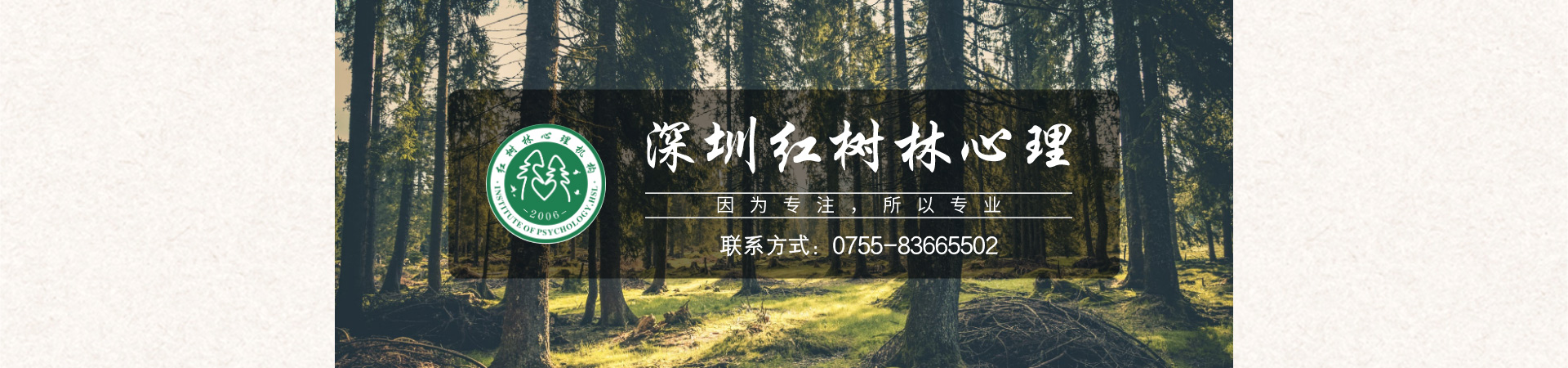 媒体报道