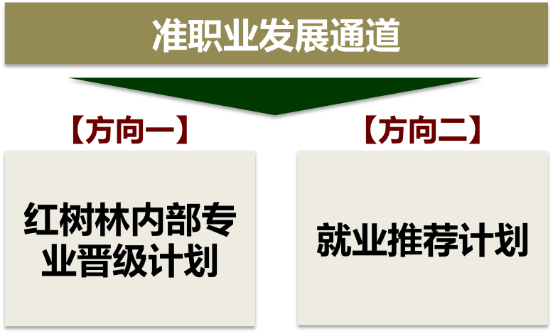 红树林咨询师成长班（第 5 期）升级招募大片...