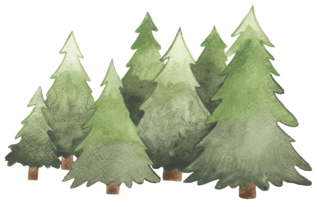 影评｜《黑天鹅》：压抑、控制与完美主义的代价